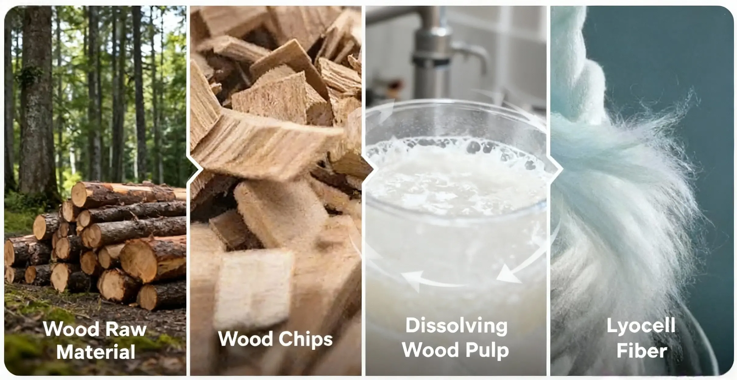 Lyocell production process diagram showing wood pulp to fiber in a closed-loop system